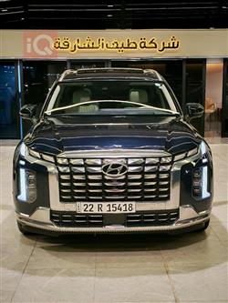 هيونداي باليسيد